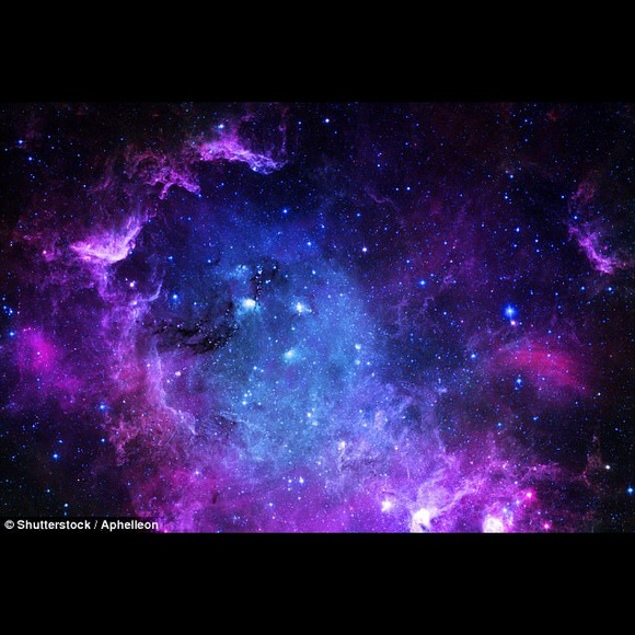 Meet your Posher, Chloe - Picture 1 of 1